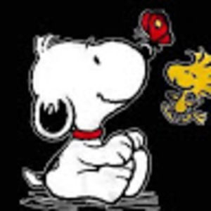 Meet your Posher, Enedina